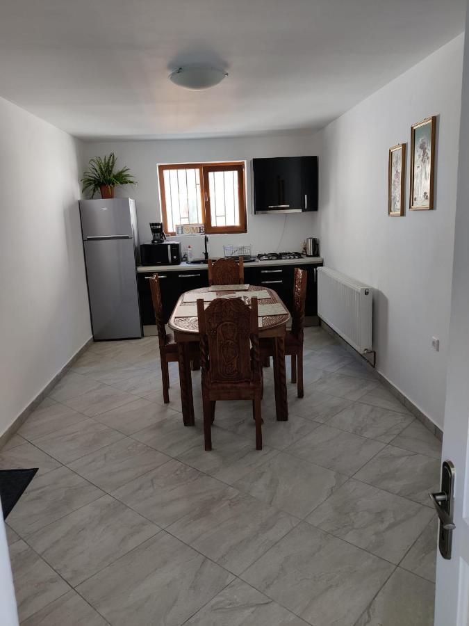 Călimăneşti Casa Marinaゲストハウス エクステリア 写真