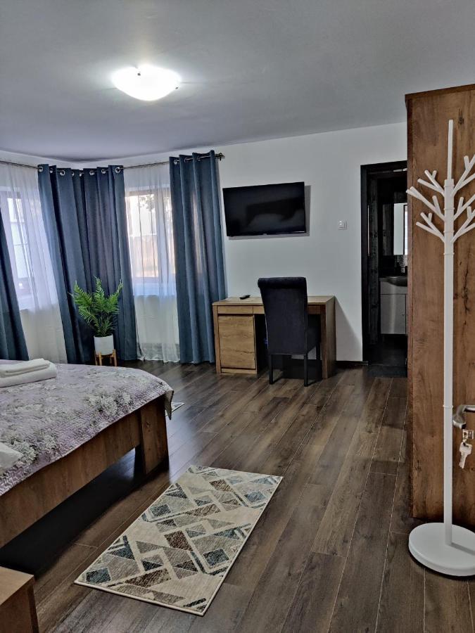 Călimăneşti Casa Marinaゲストハウス エクステリア 写真
