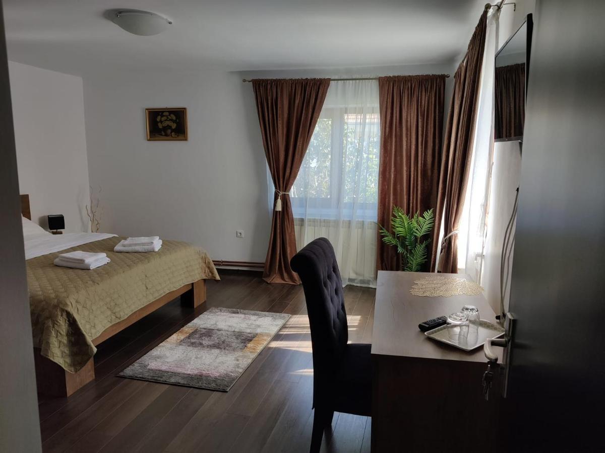 Călimăneşti Casa Marinaゲストハウス エクステリア 写真