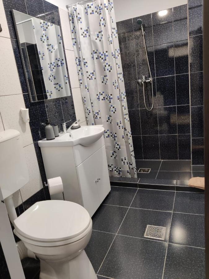 Călimăneşti Casa Marinaゲストハウス エクステリア 写真